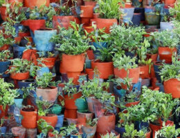 5 smarte måder at genanvende dine gamle vægpotter på