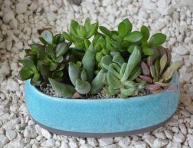 De bedste tricks: Sådan spotter du falske black friday-tilbud