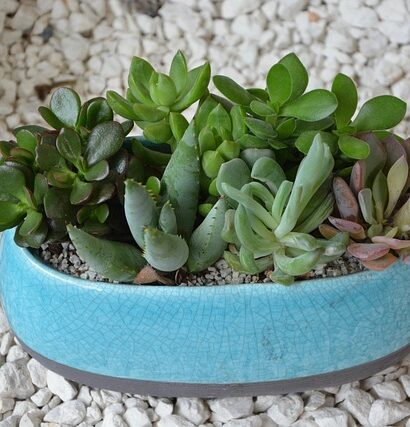 De bedste tricks: Sådan spotter du falske black friday-tilbud