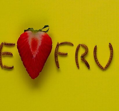 Tallerkenens indflydelse på madspild: Hvordan du kan gøre en forskel