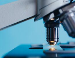 Den komplette guide til Dirt Bike Gear og hvordan man vælger det rigtige par bukser, sko, handsker og hjelm