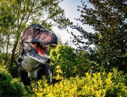 Dinosaurer på Værelset: Det Ultimative Guide til Prehistorisk Leg
