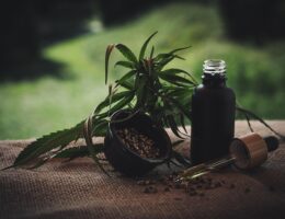 Guide: Hvad gør formula swiss’ økologiske cbd olie særlig?