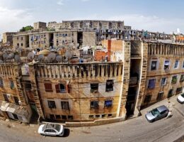 Professionel algerens vs. Hjemmebehandling – hvad er bedst?