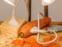 Fra engangsprodukter til bæredygtighed: En guide til menstruationskoppen