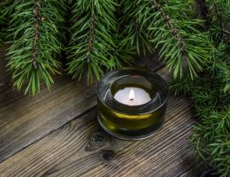 Hvad er økoturisme? Rejs verden rundt på en miljøvenlig måde