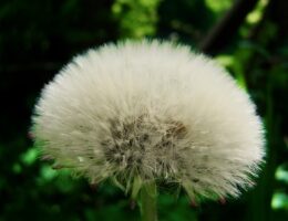 By Borg - den ultimative morgenkåbe til en afslappet og stilfuld start på dagen