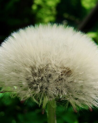 By Borg - den ultimative morgenkåbe til en afslappet og stilfuld start på dagen