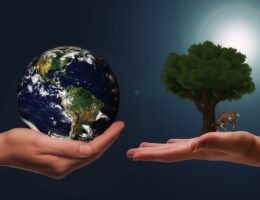 Opføringsrør og bæredygtighed: En vej mod grøn byggeri