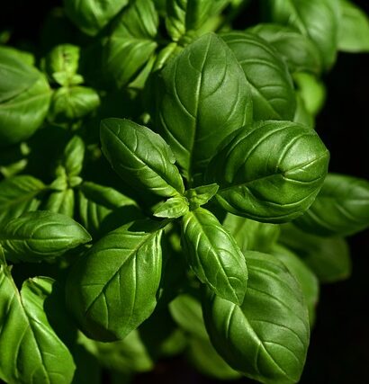 Sådan laver du den ultimative simremad: Tips og tricks fra en professionel kok