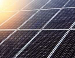 Elefantfod: En nøglekomponent i bæredygtig byggeri og arkitektur