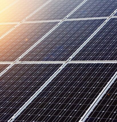 Elefantfod: En nøglekomponent i bæredygtig byggeri og arkitektur