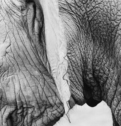 Kan kollagenpulver hjælpe med at bekæmpe rynker og fine linjer?