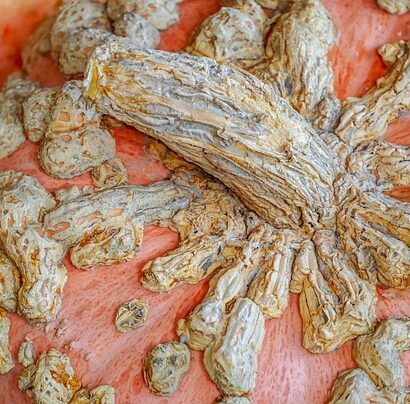 Naturlige løsninger: Slip af med gammelmandsvorter selv