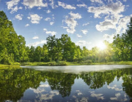 Hvordan kan jeg lære at håndtere stress? En guide til mindfulness og afslapningsteknikker