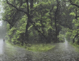Sådan vælger du den perfekte regnponcho til din aktivitet